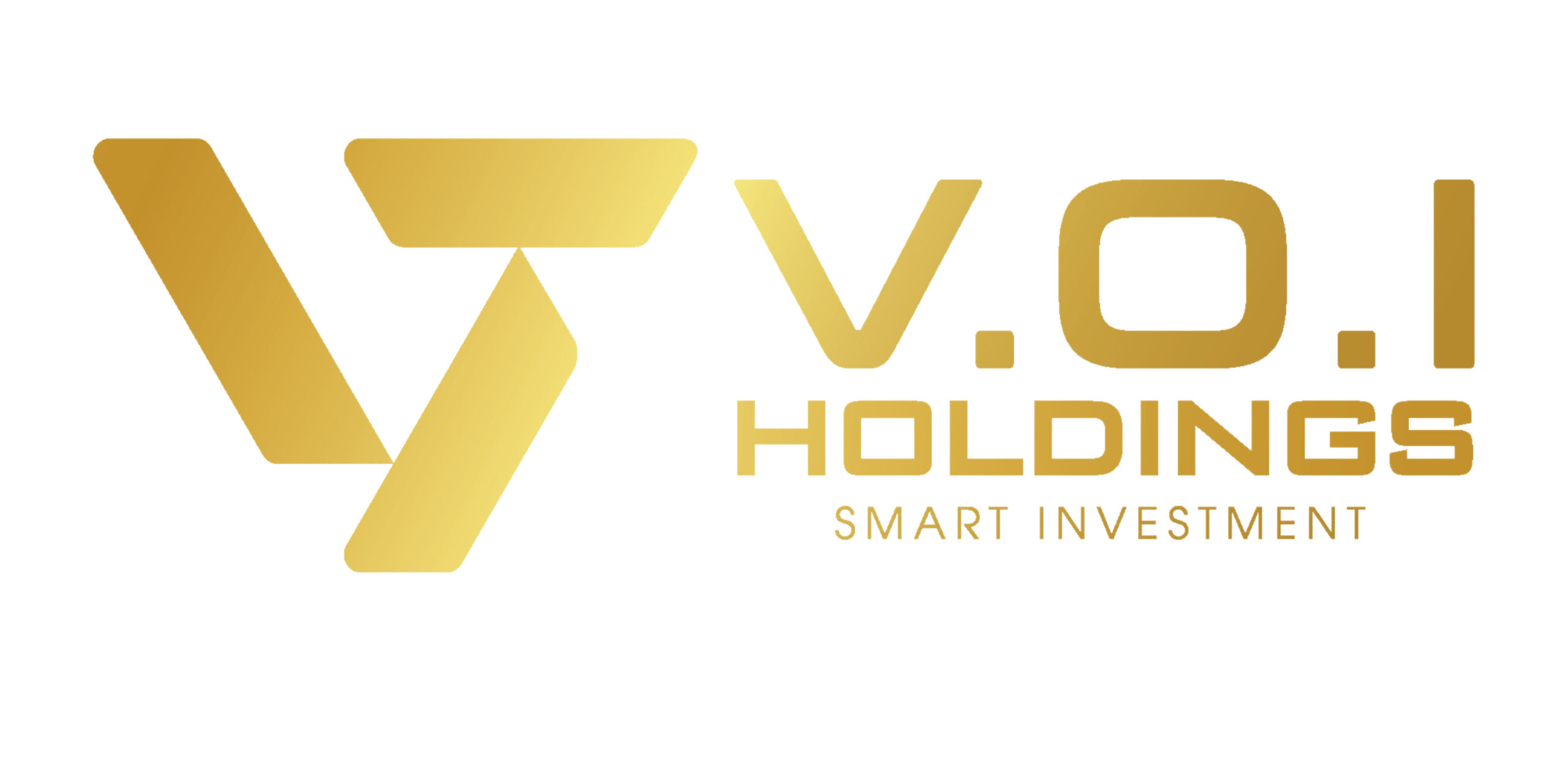 V.O.I HOLDINGS